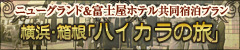 �n�C�J���̗�
